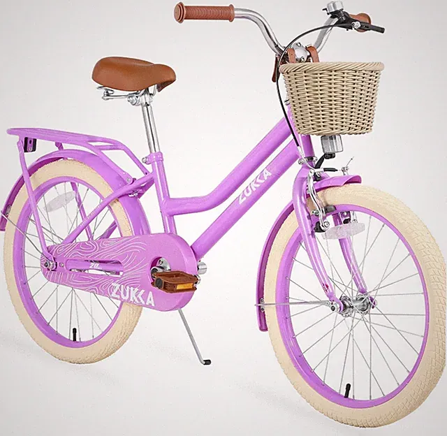MEGHNA 20 Inch Purple Kid Bike Girls Bicycle with Basket for 7 + Years Old