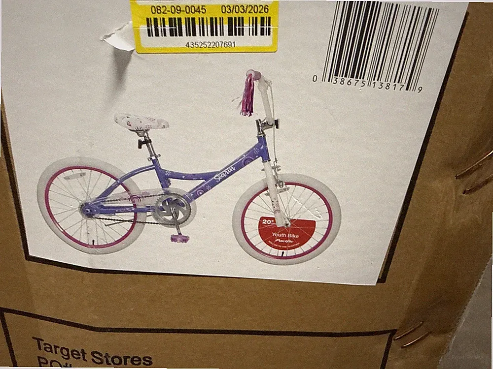Pacific 20 Kids Girls Bicycle Unity Bike Purple And Pink