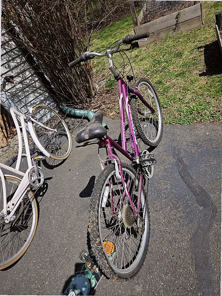 Purple Bicycle Free To Collect Ridgewood NJ