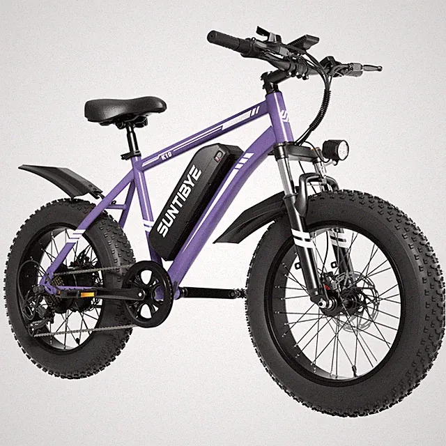 SUNTIBYE 1500W 48V 20'' E-Bike Electric Bike City Bicycle Commuter Adult Teens