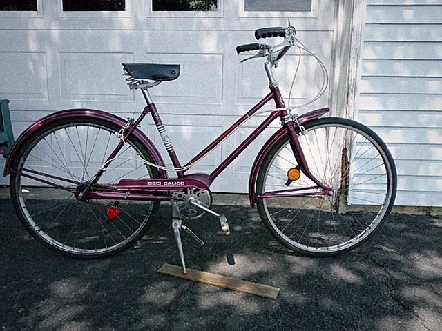 Vintage CCM Calico Women's Purple 3 speed bicycle